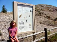 Summer with sign describing Leaf Hill